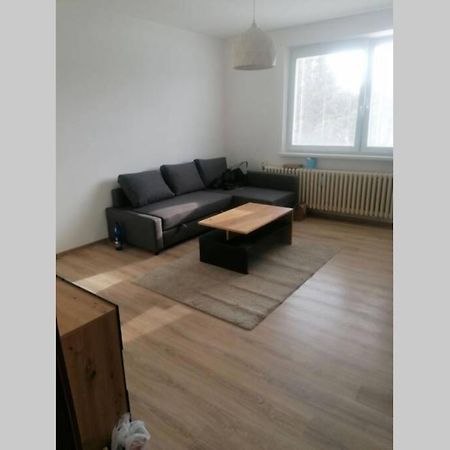 Apartman Blizko Hlavnej Stanice A Centra Mesta Бардеёв Экстерьер фото